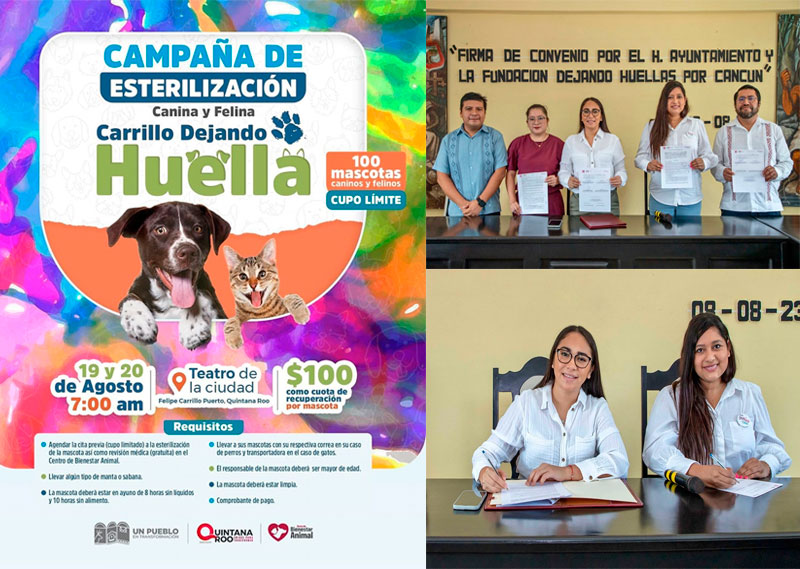 Felipe Carrillo Puerto y Fundación Dejando Huellas firman convenio para campaña de esterilización