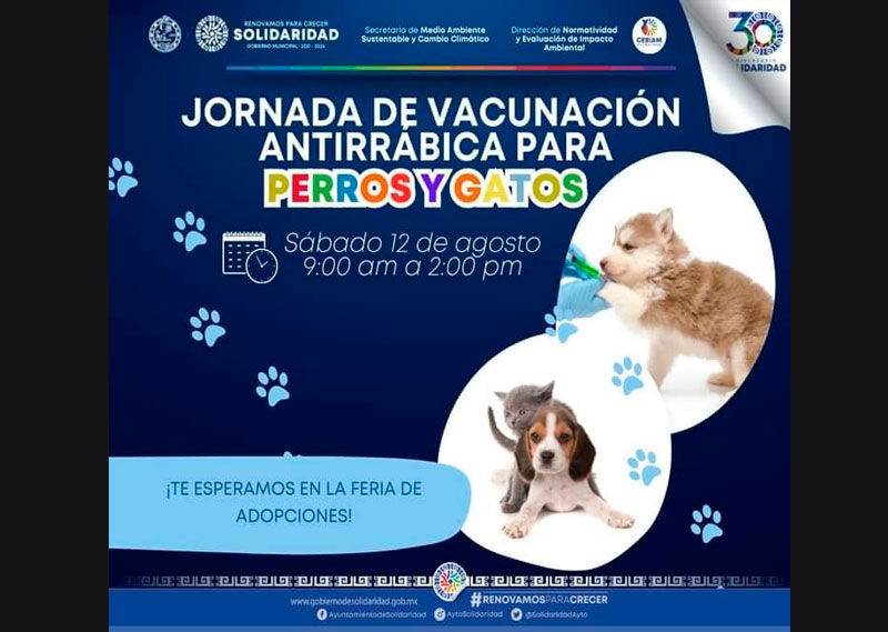 Gobierno municipal invita a la “Feria de Adopción”