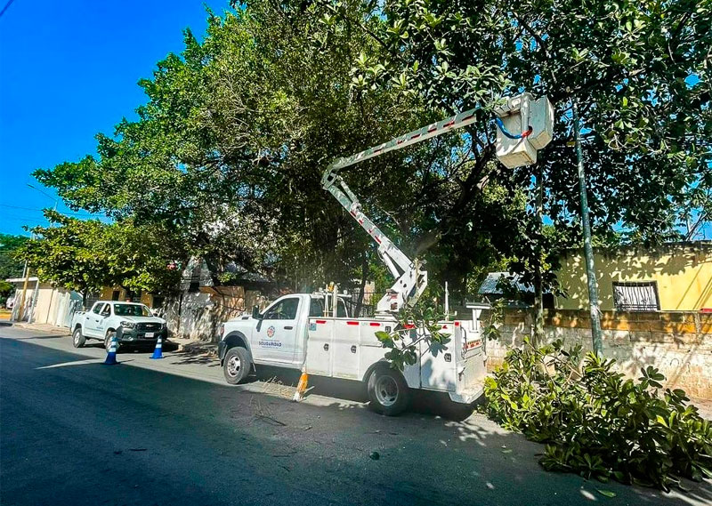 Realizan poda de árboles por temporada de lluvias