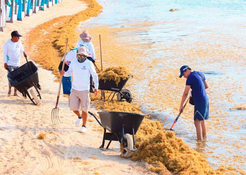 Acciones de medio ambiente a favor de locales, visitantes y turistas