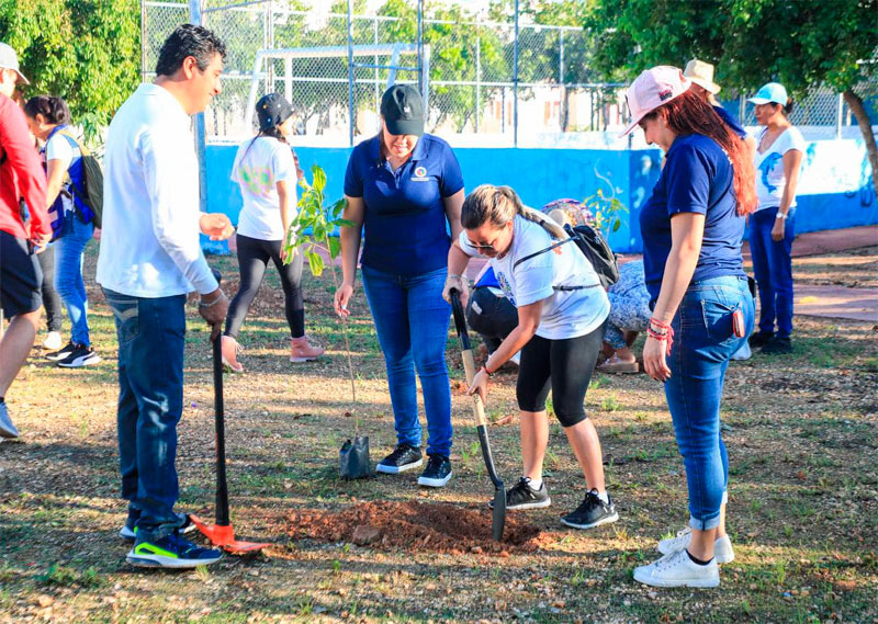 Son restauradas áreas verdes en Villas del Sol