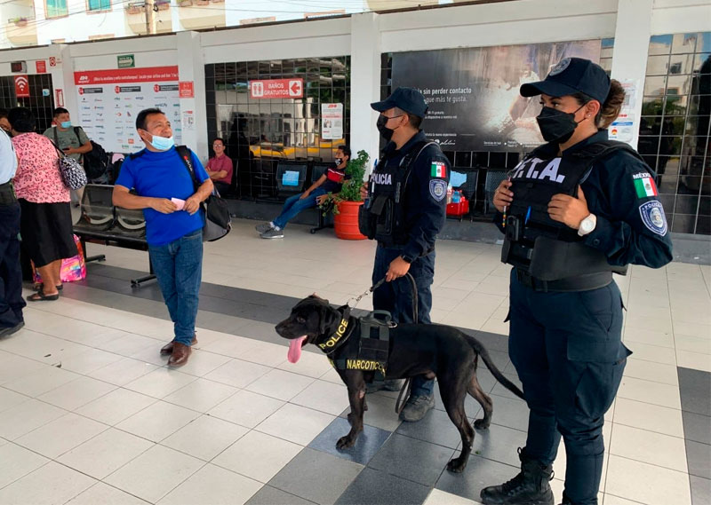 Binomios caninos refuerzan la seguridad en Solidaridad