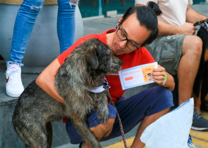 “Pasitos con Causa” impulsa la convivencia Pet Friendly y la solidaridad canina