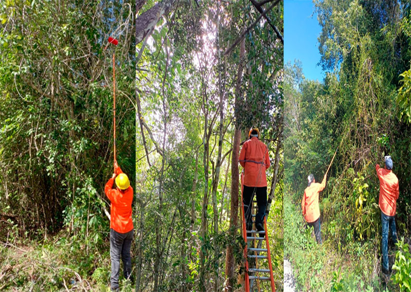 Felipe Carrillo Puerto avanza en la protección de la selva maya